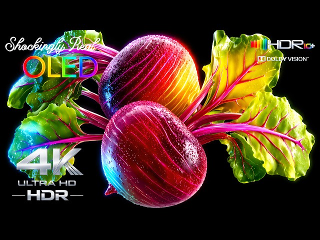 Shockingly Real OLED Demo | 4K HDR 240FPS Dolby Vision Ultra HD