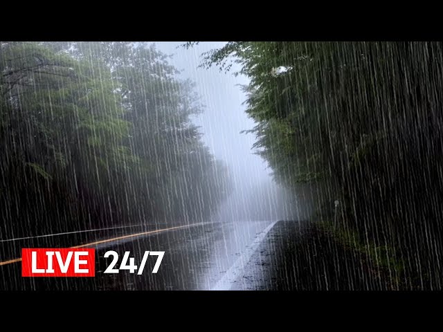 Heavy Rain Sounds Live | White Noise for Insomnia & Tinnitus Relief | Deep Sleep, Sleep Rain Sounds