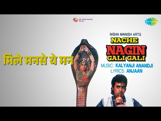 मिले मनसे ये मन | Nache Nagin Gali Gali | Nitin Mukesh | Sadhana Sargam Songs