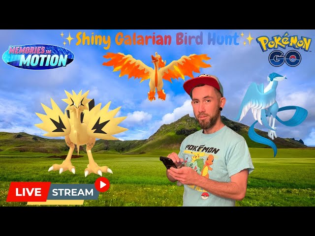✨Galarian Bird hunt🪽PvP⚔️Raids & more!✨Pokémon Go LIVE🤞