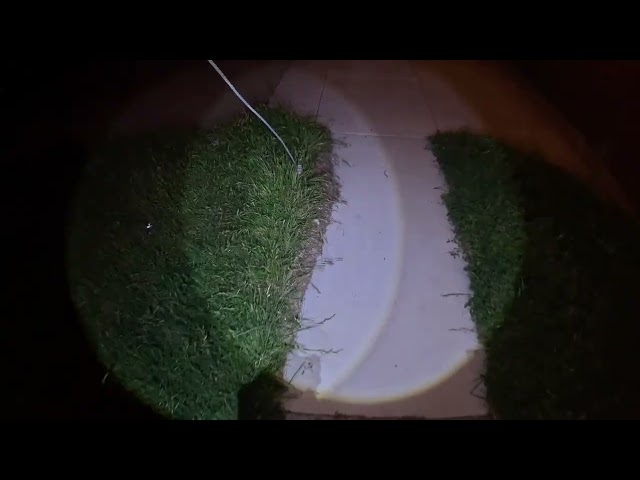 Boring Dallas 2026-03-30: Plalking