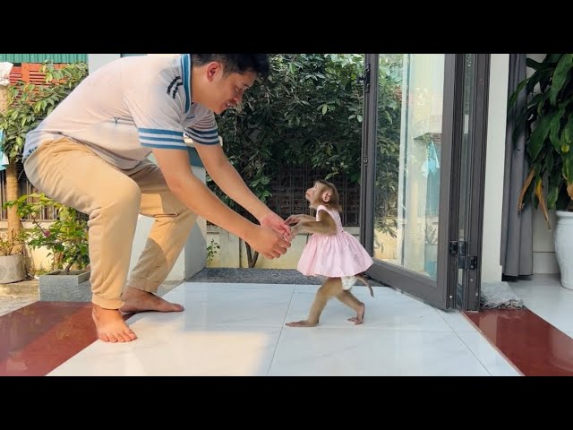 Monkey Tina welcomes Tuan back, and what is monkey Xuka current situation?