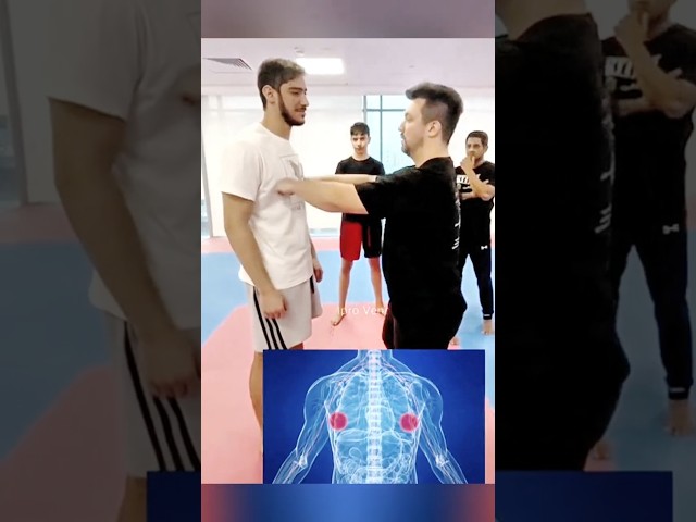Krav Maga 60 Self -Defense System:More Efficient#Krav Maga 200#Silat(110)#Pressure points #youtube