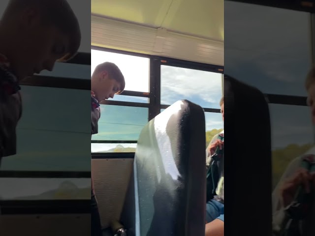 School Bus fight