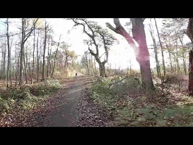 2020.11.20  Mit dem Ninebot One S2. Lüneburg an der Ilmenau