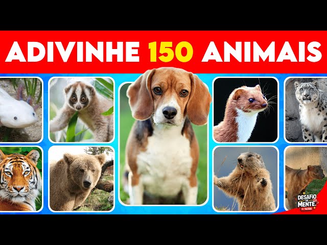 TEST YOUR BRAIN: 150 ANIMALS IN 5 SECONDS! CAN YOU DO IT? 🦒🐬🔥