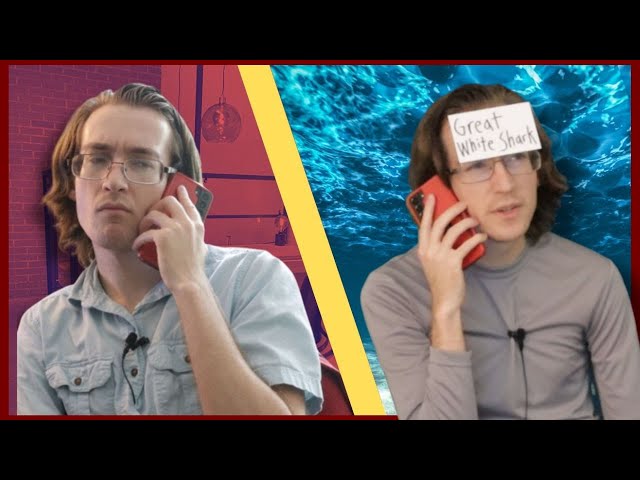 If Evolution had Customer Support (Part 2)