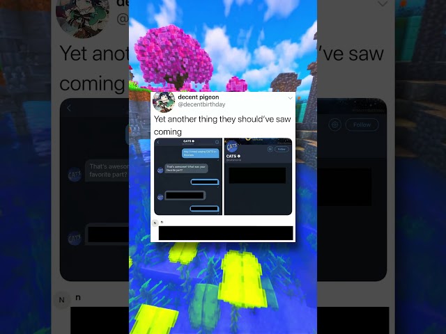 HAVE YOU SEEN CATS!?!?😂😂😂#shorts