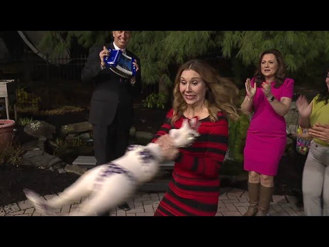 Kielbasa Kerry celebrating the warmer temps coming