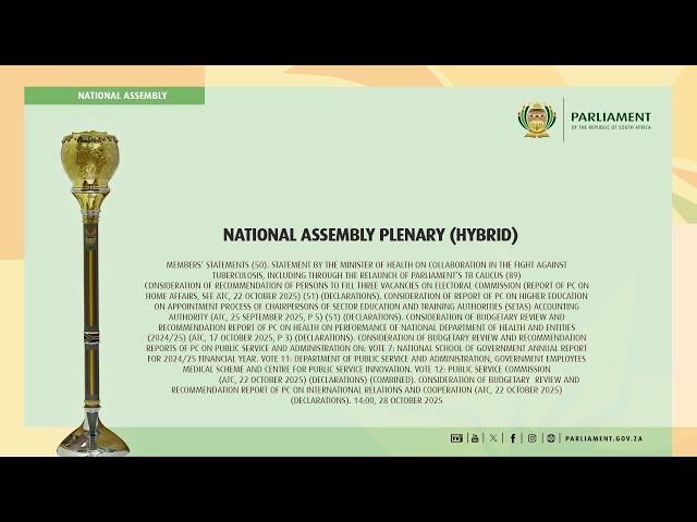 NATIONAL ASSEMBLY PLENARY (Hybrid), 28 October 2025