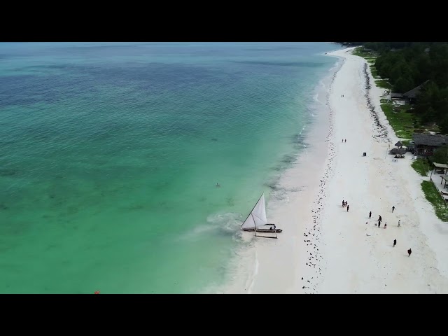 GOGO -  Musiqtrip  Zanzibar  Clubbing  TV