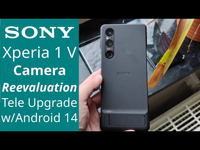 Xperia 1 V Android 14 - Camera Reevaluation