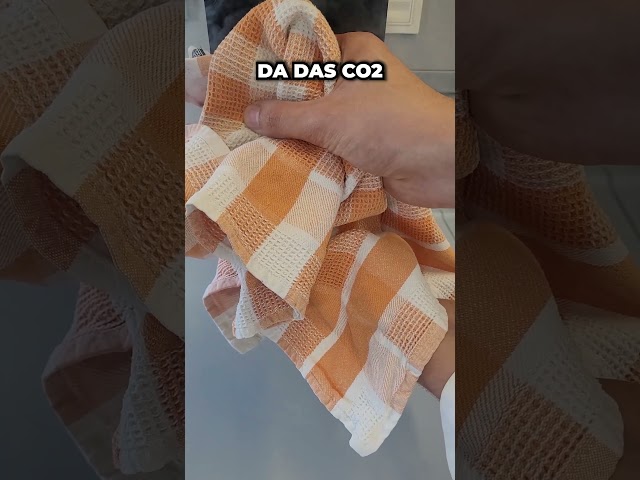 Making dry ice in the kitchen #science #physics #science #experiment #frontyardalchemist