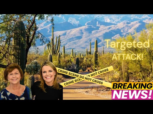 Nancy Guthrie | Missing Person ,True Crime Tarot Reading  | Energy around the ABDUCTION!