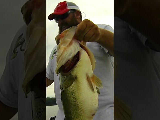 My Biggest Bass (in Maine)