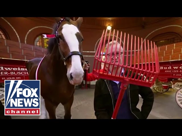 Steve Doocy explores Budweiser's 150-year history at original St. Louis brewery