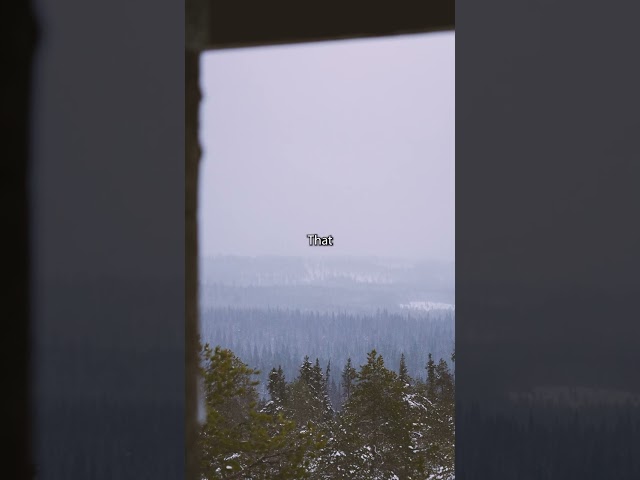 An amazing watchtower on top of an ARCTIC HILL in the Finnish Lapland #lapland #photography #winter