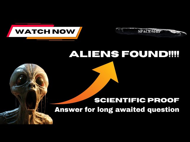 The Fermi Paradox Explained: We have found the aliens!