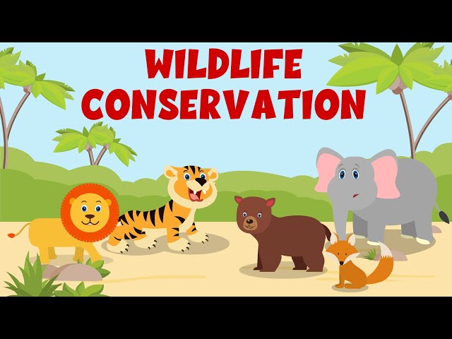Animal Conservation Video - Wildlife Conservation - Learning Junction