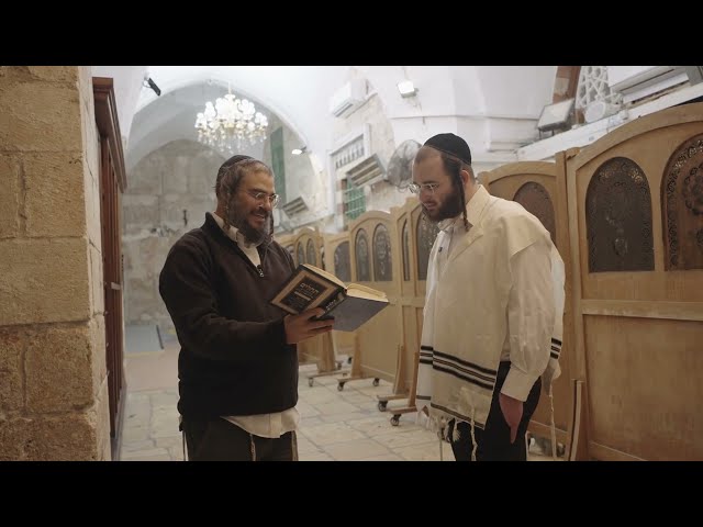 I visited 4000 years of history | Chevron Israel