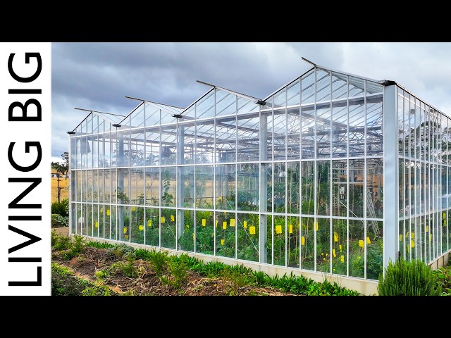 He Built a Tiny House Inside a Massive Greenhouse