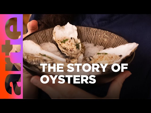 Kitchen Hacks with Lucie: Oysters | ARTE.tv Culture