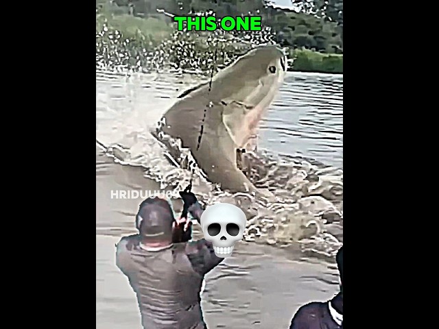 Others Fishing Vs This One ☠️ | #edit​ #trollface​ #fyp​ #usa​ #newyork​