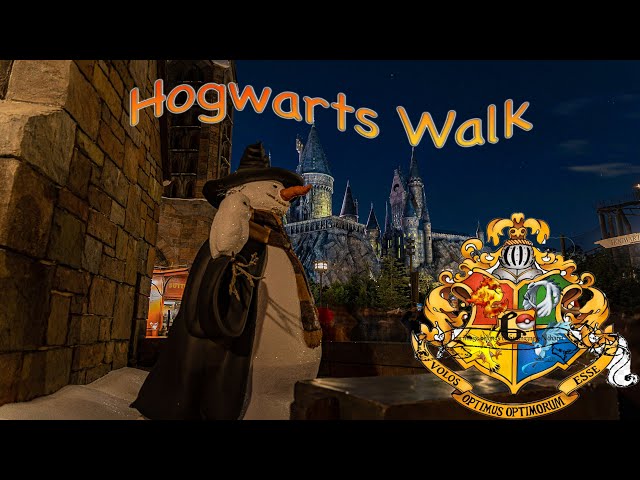 4K Hogwarts Walk in VR180 3D
