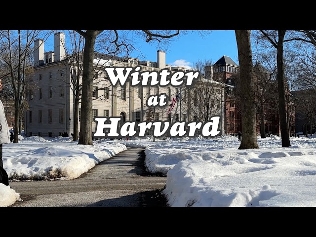 Harvard in Winter