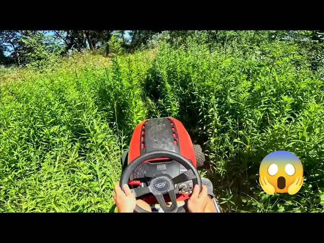 Mowing Extremely Tall Grass with Garden Tractor | GoPro POV Hecht Power!