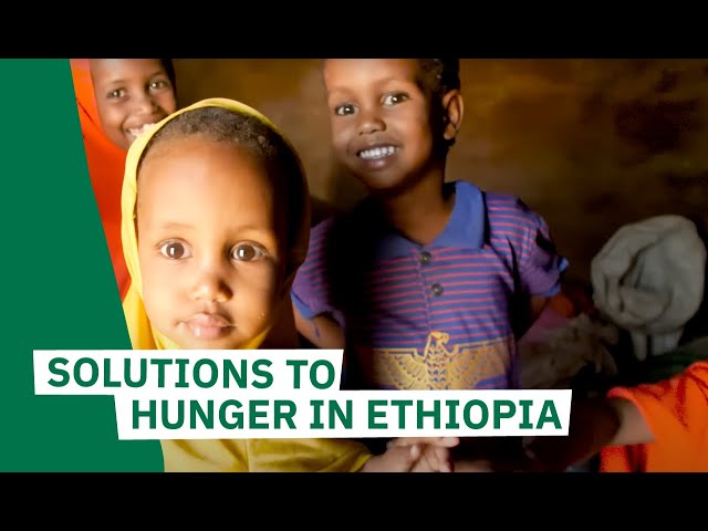 How to solve hunger in Ethiopia.