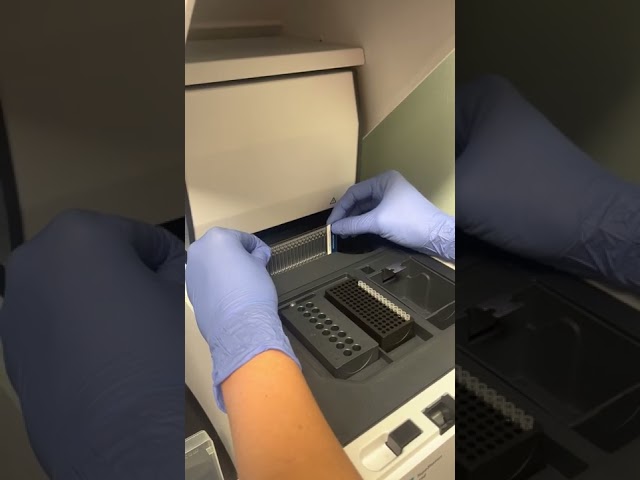 TapeStation: Inserting ScreenTape