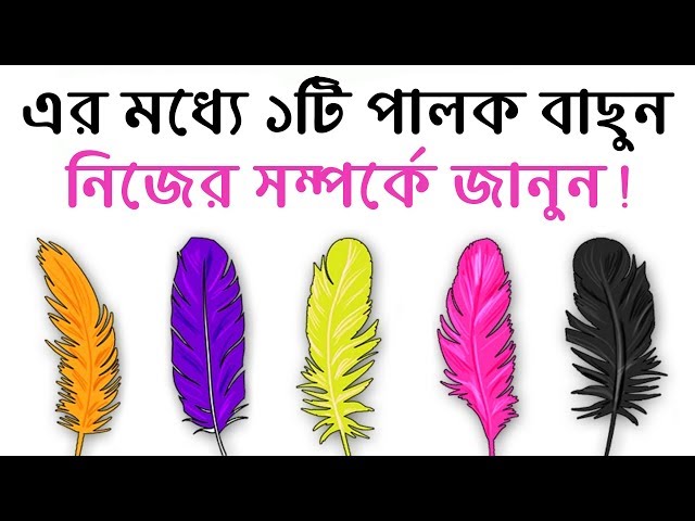 এর মধ্যে ১টি পালক বাছুন আর নিজের সম্পর্কে অজানা কথা জানুন !