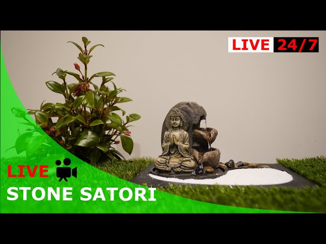 LIVE Stone Buddha with fountain: Relaxation with water fountain