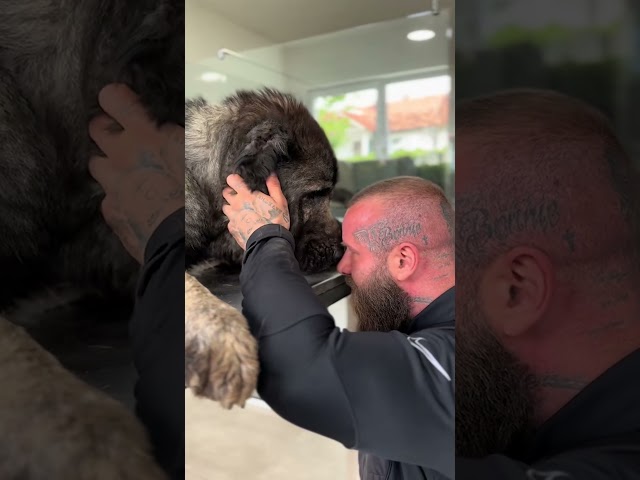 Kango ❤️‍🩹 #dogrescueshelter #emotional #rescuingdogs #dogs #humanitarianhelp #animalsinneed