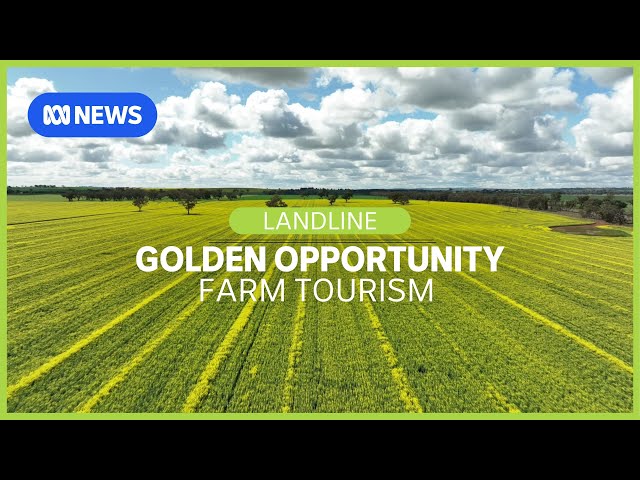 The golden opportunity of agricultural tourism | Landline | ABC News