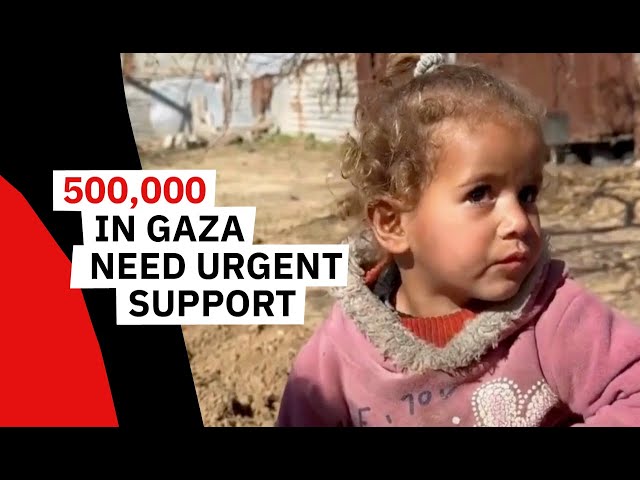 Gaza Is Facing a Famine, You Can Help