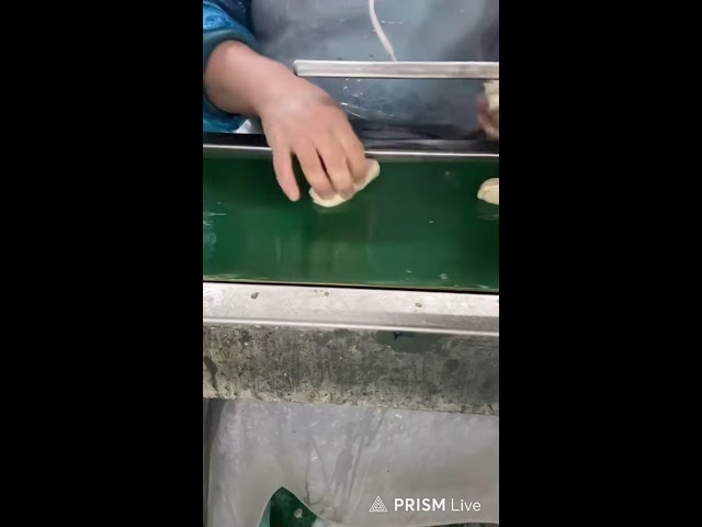 🔴Live🔴Rapid Production Process for Gluten Rolls