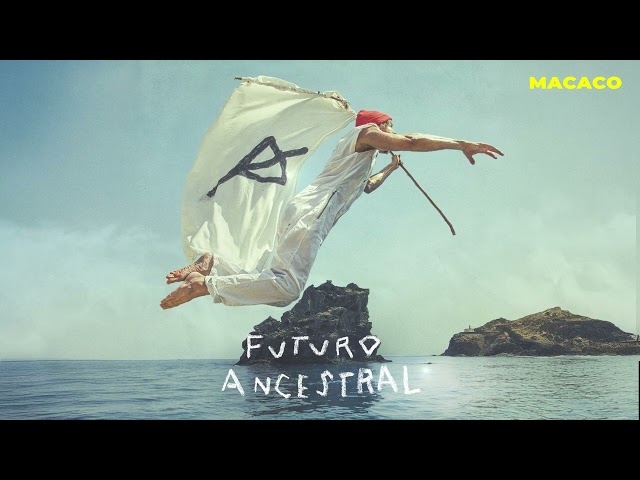 Macaco - Los Iguales (Visualizer)