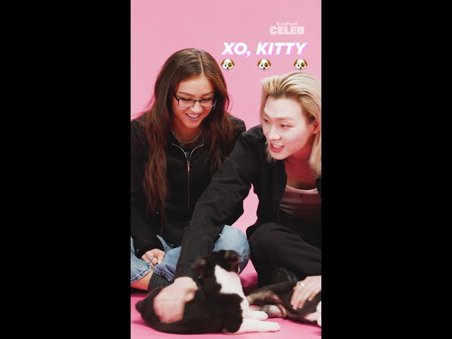 Anna Cathcart and Sang Heon Lee: The Puppy Interview | Trailer