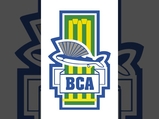 ESAF Pickwick vs Signia Globe Financial BCA Youth - Series 1 - Day 1