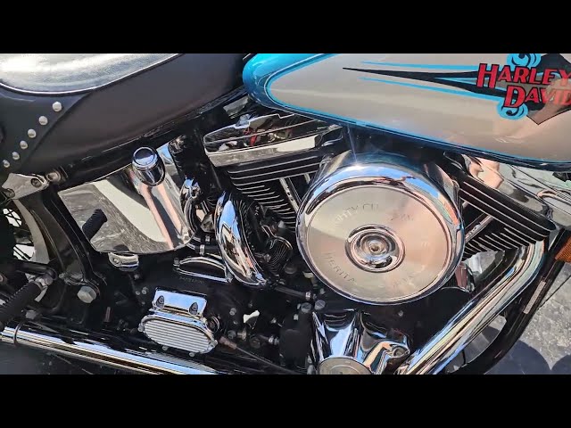 1994 Harley-Davidson FLSTC Heritage Softail Classic Running
