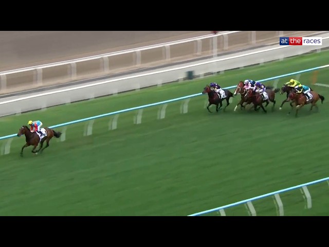 TRACK RECORD BROKEN! Ka Ying Rising blows them away in the Sprint Cup!