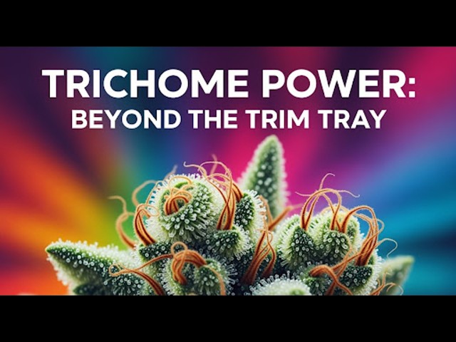 Trichome Power: Beyond the Trim Tray