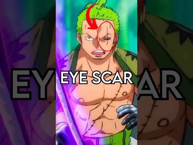How Zoro got his Eye Scar | One Piece