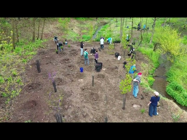 LDWS Mini-Grant Aquetong Watershed Association 2025