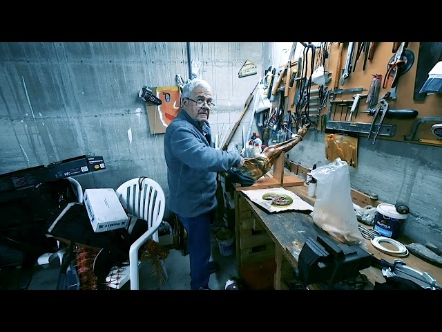 [VR180 3D] Lily (beagle) and Polo (Jack Russell) love Pernil (cured ham)