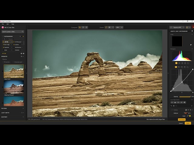 Nik 8 Color Efex filters used in a preset.