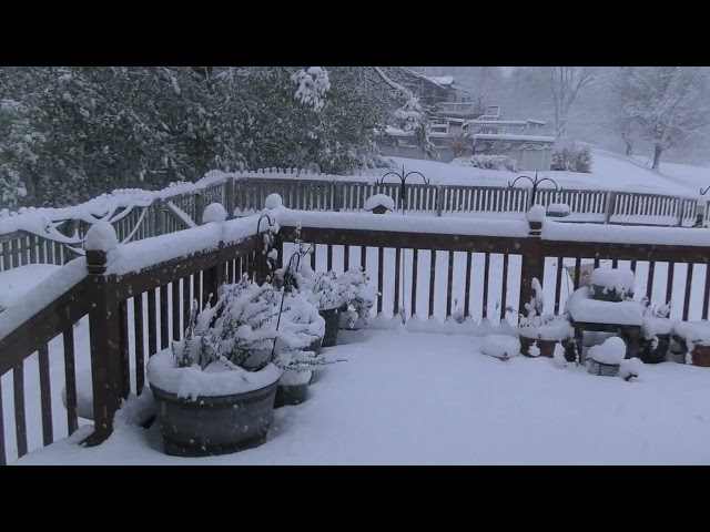 scenes from the 5th largest snow event in November in St. Louis history 11/29/25