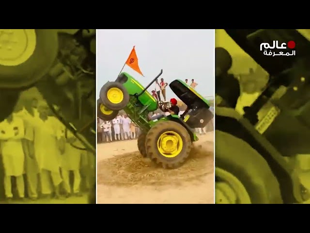 ما فعلوه مع القطة كان مدهش    لحظات لا تصدق كان الناس محظوظين لتسجيلها على الكاميرا !!